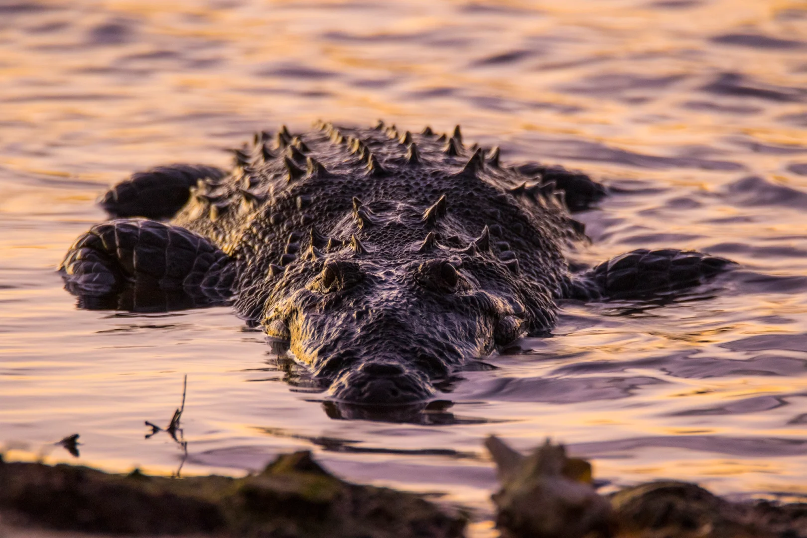 croc wik copy