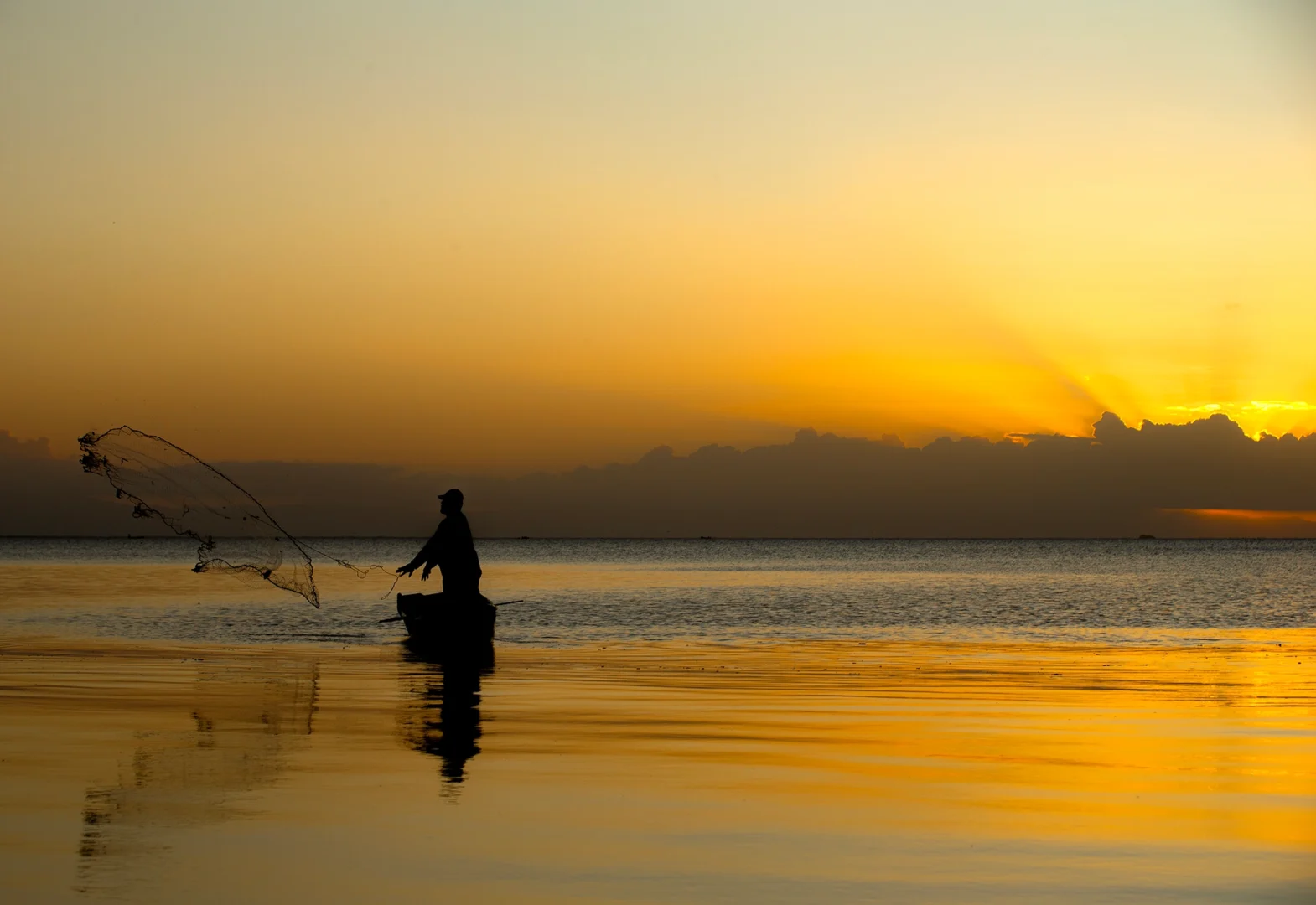 sNica net unset copy